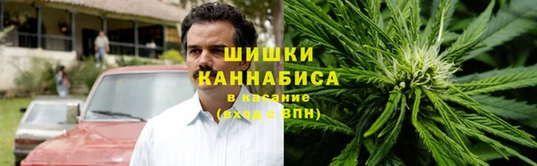 молекула духа Горнозаводск