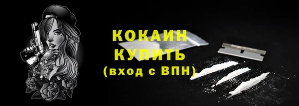 ГАЛЛЮЦИНОГЕННЫЕ ГРИБЫ Горно-Алтайск