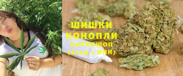 ГАЛЛЮЦИНОГЕННЫЕ ГРИБЫ Горно-Алтайск