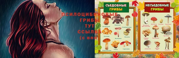 дурь Горняк