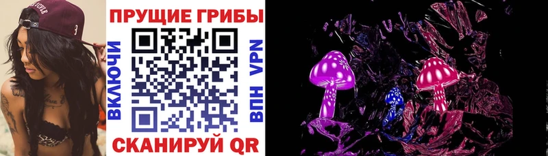 Галлюциногенные грибы Psilocybe Афипский